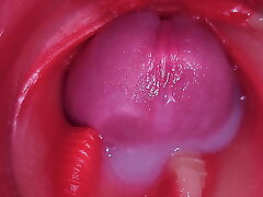 Leader Cum in Vagina. Excellent Internal Camera. 4K asian porn gay intercourse videos