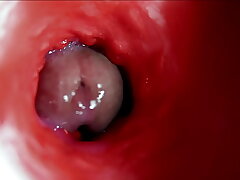 A big beautiful cock flows abundantly median a wet deceptive hole and smacks! asian gay school boys sex videos