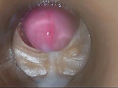 Precum beside my pussy Camera beside Vagina 4k asian cute wretch gay sex videos